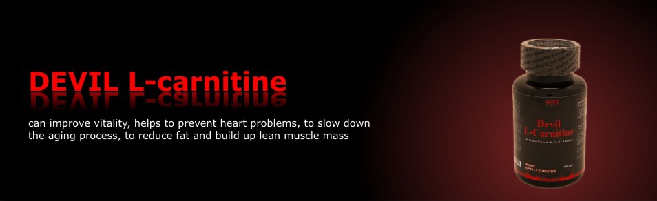 l-carnitine l-carnitine