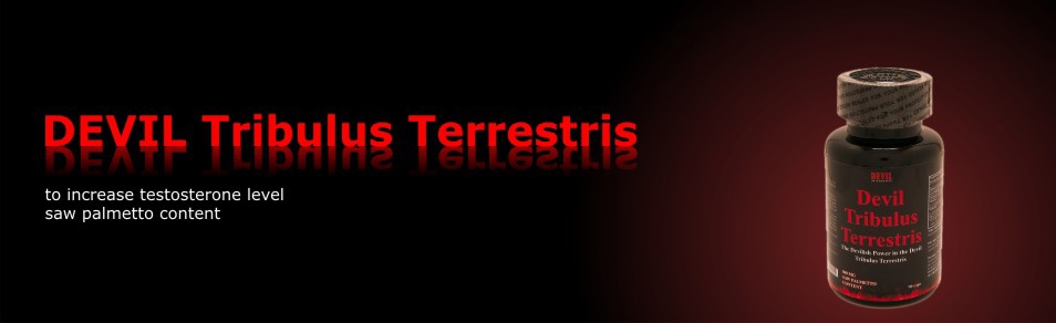 tribulus tribulus